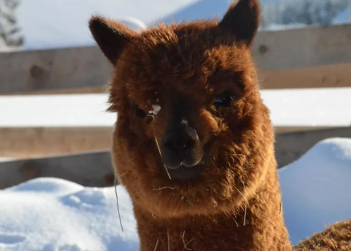 Kirchbrugger Gasthof 3*