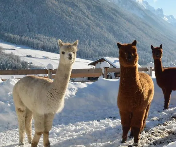 克尔布鲁格膳食公寓 施图拜河谷泰尔夫斯