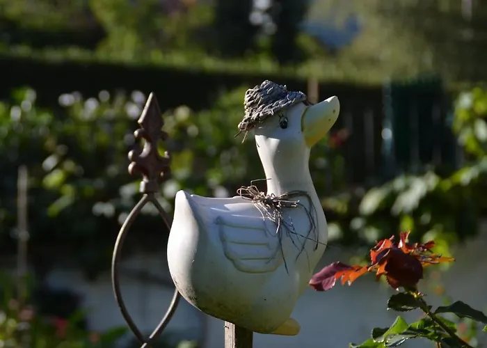 克尔布鲁格膳食公寓